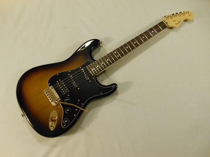 Mod Shop Stratocaster