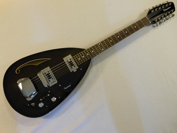 Teardrop Hollow Body 12 String